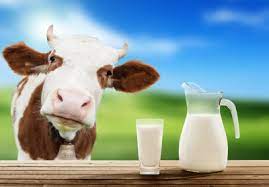 Сировина для харчових продуктів. Модуль 1._ВВ