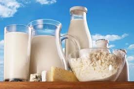 Харчові технології 4. Технології зберігання, консервування та переробки молока